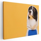 Tablou caine imbracat in hanorac Tablou canvas pe panza CU RAMA 60x80 cm