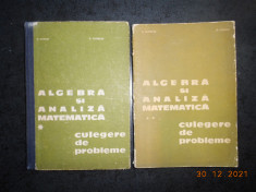 D. FLONDOR - ALGEBRA SI ANALIZA MATEMATICA. CULEGERE DE PROBLEME 2 volume foto