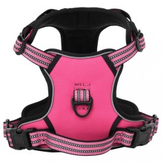 Gossi ham pentru caini cu plumb si guler, reglabil, roz, xl