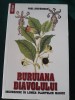 Carte Vraji Buruiana Diavolului - Incursiune Plante Magice Paul Stefanescu, 2008, Ezoterism
