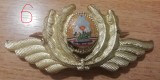 QW14 - Emblema militara - comunism - aviatie - varianta mica