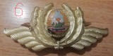 M3 C16 - Emblema militara - Comunism - Aviatie - Varianta mica