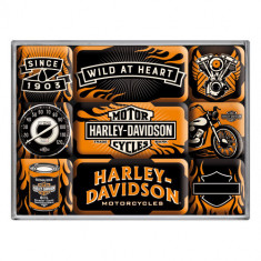 Set magneti - Harley Davidson Wild Heart foto