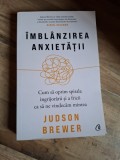 Imblanzirea anxietatii - Judson Brewer