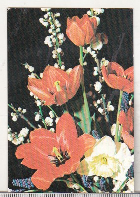 bnk cld Calendar de buzunar - 1990 - Mecanoexportimport foto