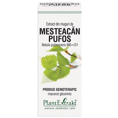 Extract Muguri Mesteacan Pufos 50ml PlantExtrakt foto