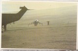 bnk cp Militare - Razboiul Malvinelor - avion Sea Harrier