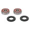 Kit Rulmenti roata spate Cub Cadet Big Country Kawasaki KLF300 Mule 500 520 550 1986-2005 All Balls 25-1274