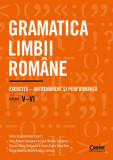 Gramatica limbii rom&acirc;ne. Exerciții &ndash; antrenament și performanță. Clasele V&ndash;VI - Paperback brosat - Adina Ionescu, Alina Dinu, Delia-Monica Georgescu,