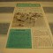 Program - F. C. Baia Mare - Politehnica Iasi - 16 noiembrie 1983