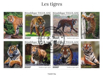 TOGO 2022 - Tigri / bloc foto