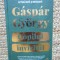 Copilul invizibil &ndash; Gaspar Gyorgy