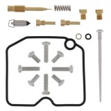 Cumpara ieftin Kit reparatie carburator; pentru numarul de carburatoare 1 (pentru uz sportiv) pentru ARCTIC CAT ARCTIC CAT 366 2008-2011