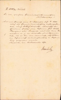 A2185 Act, 1874, Timișoara, &amp;icirc;n limba germană foto