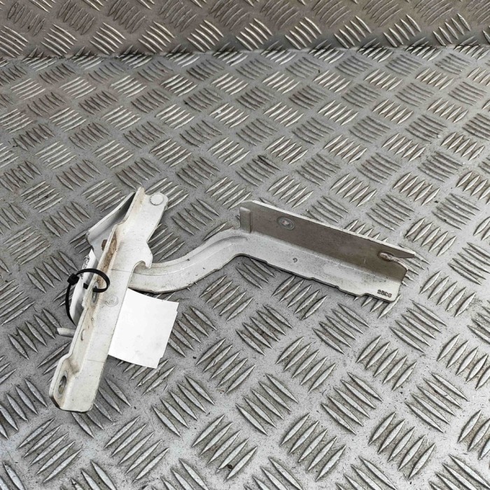 Balama capota st&acirc;nga față CITRO&Euml;N JUMPY Furgon 2008 OEM: 791295 31293416