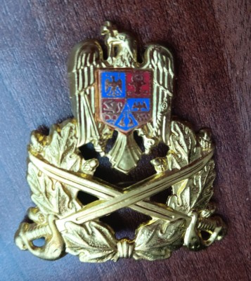 QW14 - Emblema militara / cuc - Uscat - piesa de colectie foto