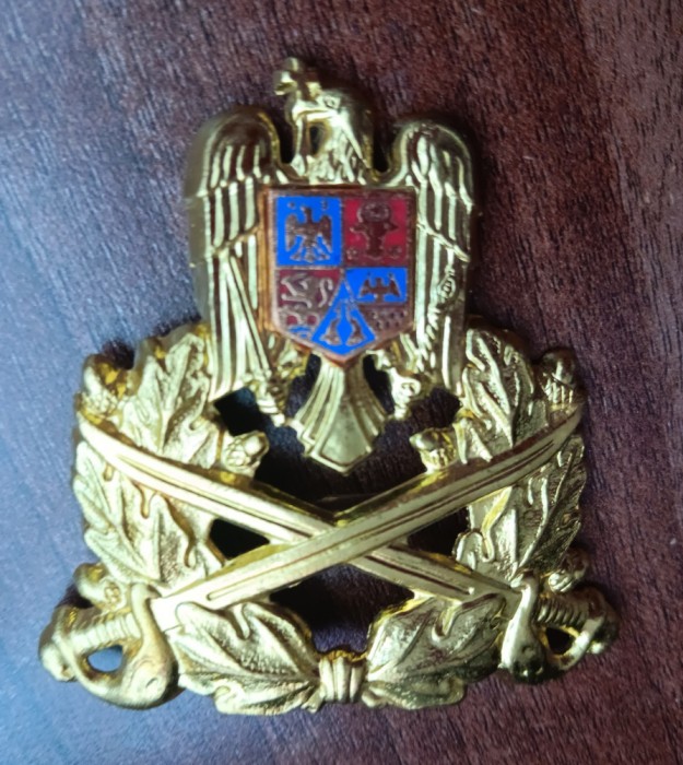 QW14 - Emblema militara / cuc - Uscat - piesa de colectie