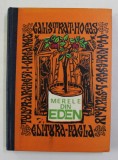 MERELE DIN EDEN de TUDOR ARGHEZI ...DAMIAN STANOIU , 1975