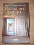 Sus e numele meu, Ila! - Andreea Ionescu-Berechet