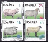 Romania 2017 fauna rase de oi MNH