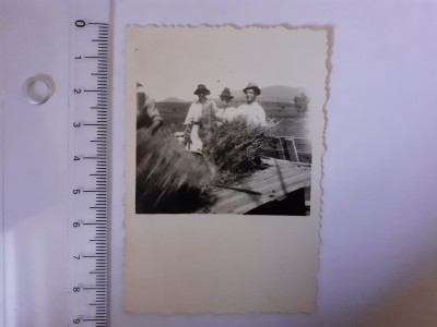 Fotografie cu țărani muncind la sapă foto