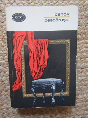 Anton Pavlovici Cehov - Pescarusul foto