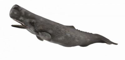 Balena Casalot - Animal figurina foto
