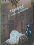 TENEBRE-JOHN GALSWORTHY-335823