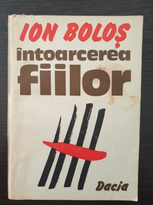 INTOARCEREA FIILOR - Ion Bolos foto