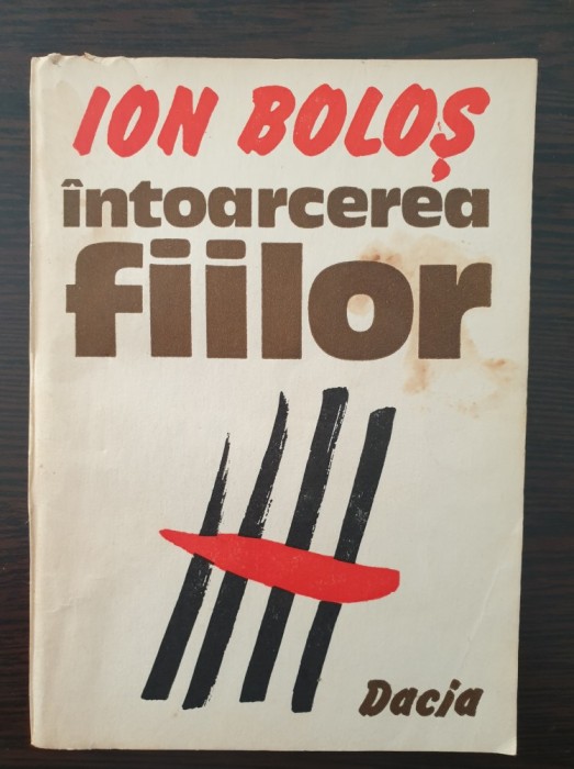 INTOARCEREA FIILOR - Ion Bolos