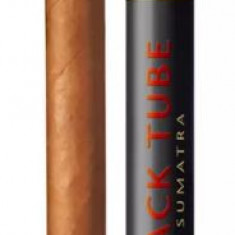 Trabucuri Villiger Black Tube Sumatra