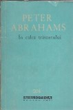In calea trasnetului - Peter Abrahams