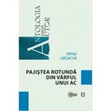 Pajistea rotunda din varful unui ac - Mihai Ursachi