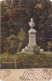 CP Buzias Bustul lui Trefort ND(1909), Circulata, Fotografie