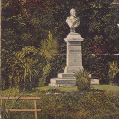 CP Buzias Bustul lui Trefort ND(1909)