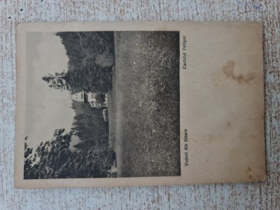 Sinaia - Castelul Pelisor. foto