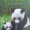 LEGENDA URIASILOR PANDA-LIU XIANPING-248581