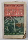 CIRESUL LUI LUCULLUS de D. ANGHEL si ST . O . IOSIF , 1910