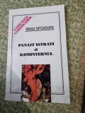 Mihai Ungureanu - Panait Istrati si Kominternul
