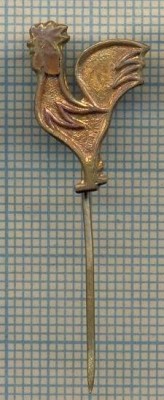 Y 1407 INSIGNA -SPORTIVA - SIMBOL UN COCOS -PENTRU COLECTIONARI foto