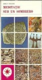 Meditatie sub un sombrero - Anca Voican, Editura Sport-Turism, Colectia Mapamond, 1980, Carti vechi