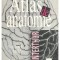 Karl-Josef Moll - Atlas de anatomie (Editia: 1997)