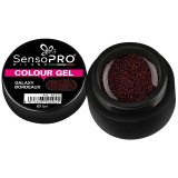 Gel UV Colorat Galaxy Bordeaux 5ml, SensoPRO Milano