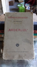 ARDEALUL - ION MURESANU foto