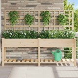 Jardiniere cu raft și spalier, 203x53x152 cm, lemn masiv brad