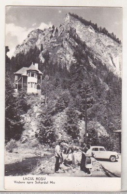 bnk cp Lacul Rosu - Vedere spre Suhardul Mic - necirculata foto