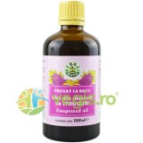 Ulei din Samburi de Struguri Presat la Rece 100ml