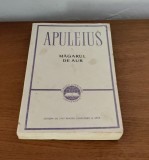 Apuleius - Măgarul de aur