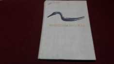 A L MONGAIT - ARHEOLOGIA IN URSS