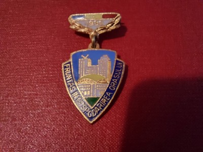 Insigna fruntas in gospodarirea orasului 1980 R.S.R. foto